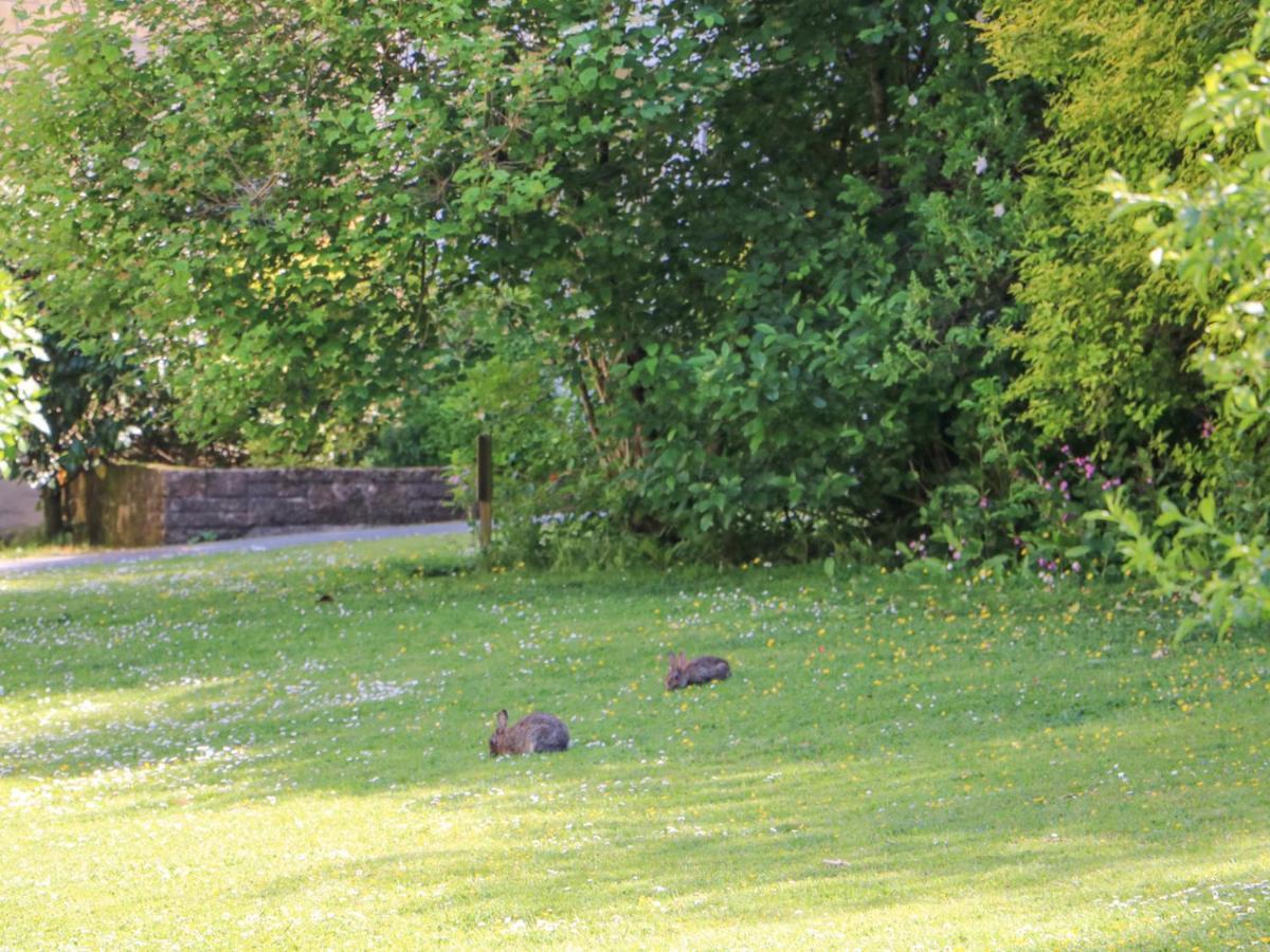 Owls Roost Villa Falmouth Exteriör bild